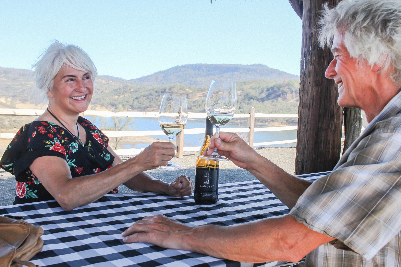 man and woman toasting with wine glasses